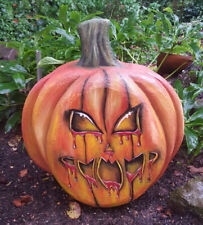 Tier kürbis halloween gebraucht kaufen  Eschau