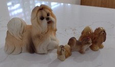 Lot shih tzu for sale  San Diego