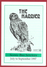 Scottish borders harrier for sale  HASTINGS