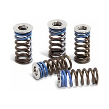 Kit completo de mola de válvula Pro Circuit VSY14250K-CL77 comprar usado  Enviando para Brazil
