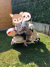 Moto elettrica vespa usato  Mozzate