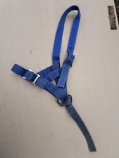 foal headcollar for sale  HOPE VALLEY
