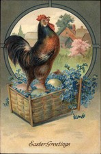 Easter proud rooster for sale  USA