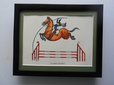 Bryn parry horse for sale  YORK