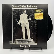 James Luther Dickinson Dixie Fried Vinyl LP DJ Promo Only 1st Press NM 1972 comprar usado  Enviando para Brazil