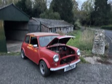 mini minus for sale mini minus for sale  WARWICK
