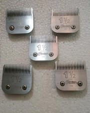 Pre owned oster for sale  Jayess