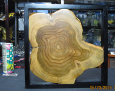 Wall art rustic for sale  Chicago