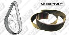 Cinghia poly j1168 usato  Ariano Irpino