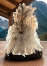Full hide rug for sale  Ellington