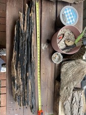 Large natural driftwood for sale  Mechanicsburg
