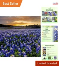 Heirloom texas bluebonnet for sale  Canoga Park