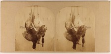 Nature morte etude d'occasion  Paris V
