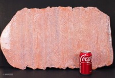 Vtg antique pink for sale  Hatboro