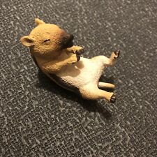 Animal life asakuma for sale  Deerfield