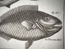 1788 antique fish for sale  Lanexa