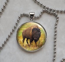 American bison buffalo for sale  Prescott Valley