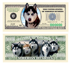 New siberian husky for sale  Oakley