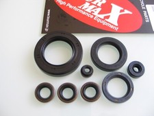 Kawasaki kit paraoli usato  Ragusa