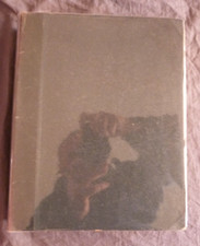 Abbé capeille dictionnaire d'occasion  Amélie-les-Bains-Palalda