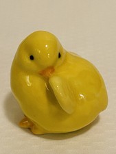 Rare yellow baby for sale  Big Lake
