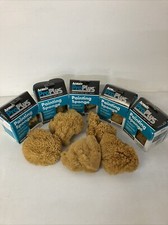 natural sponges for sale natural sponges for sale CROMER