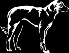 Adesivo cangal adesivo usato Adesivo cangal adesivo usato  Spedire a Italy