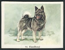 Elkhound full speed for sale  COLEFORD