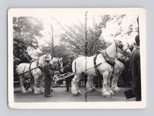 Old photo team for sale  DERBY