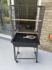 parrot play stand for sale parrot play stand for sale TROWBRIDGE