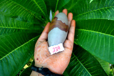 Shiva lingam stone usato  Spedire a Italy