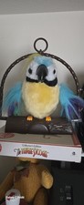 Polly insulting parrot for sale  Fort Worth