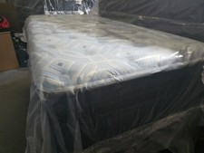 Twin stearns foster for sale  Kennesaw