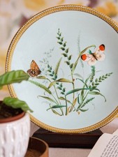 Prato de sobremesa antigo Royal Worcester jardim botânico inglês borboleta armário comprar usado  Enviando para Brazil
