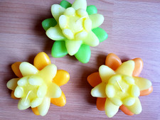 Schwimmkerzen seerose durchmes gebraucht kaufen Schwimmkerzen seerose durchmes gebraucht kaufen  Bergholz-Rehbrücke