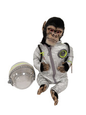Monkey realistic toy for sale  RUGBY