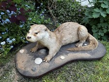 otter picture for sale otter picture for sale WIDNES