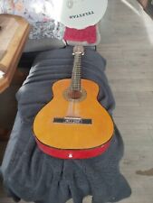 Defekt isana archtop gebraucht kaufen  Zeitz