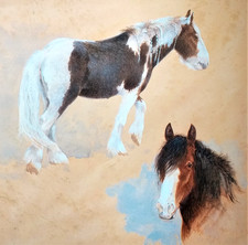 Gypsy horses. print for sale  NELSON