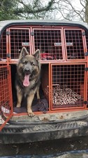 Dog crates van for sale  NEWBURY