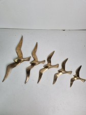Mouettes hirondelles oiseaux d'occasion  Caen
