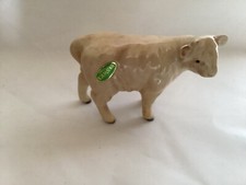 Beswick charolais calf for sale  MELTON MOWBRAY