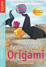 Faszinierendes rigami faltidee gebraucht kaufen  Berlin