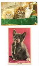 Kittens cat postcards for sale  USA