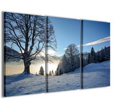 Stampe tela 3pz.120x90cm usato  Italia