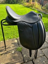 16.5 monarch dressage for sale  EDENBRIDGE