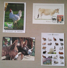 Cartes 1er jour d'occasion  Prunelli-di-Fiumorbo