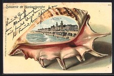 Blankenberghe the beach d'occasion  Expédié en Belgium
