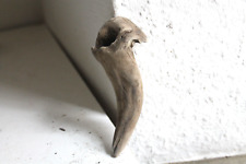 Schwemmholz treibholz skulptur gebraucht kaufen  Fronreute