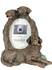 Chocolate labrador retriever for sale  Lambertville